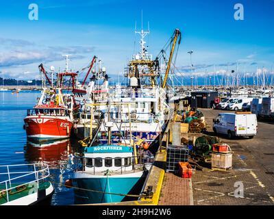 Fischerboote am Hafen von Brixham in Devon. Stockfoto