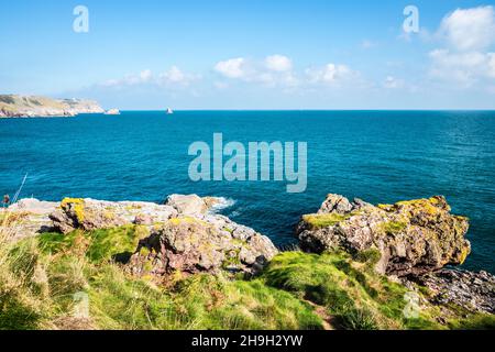 Blick auf St. Mary's Bay, Darl Head und Berry Head bei Brixham in Devon vom South West Coast Path mit Darl Rock, Mew Stone und Cod Rock Stockfoto