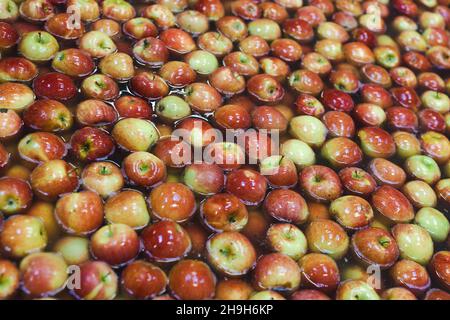 Saubere und frische Äpfel auf dem Förderband in der Lebensmittelverarbeitung. Gesundes Obst, Lebensmittelproduktion und automatisiertes Konzept der Lebensmittelindustrie. Stockfoto