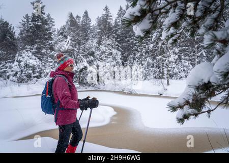 Nette ältere Frau Schneeschuhfahren bei starkem Schnee Herbst in einer winterlichen Wald- und Moorlandschaft im Bergenzer Wald in Vorarlberg, Österreich Stockfoto