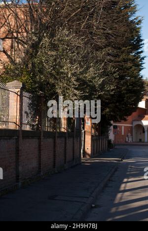 Straße mit Pflanzen in Italien Stockfoto