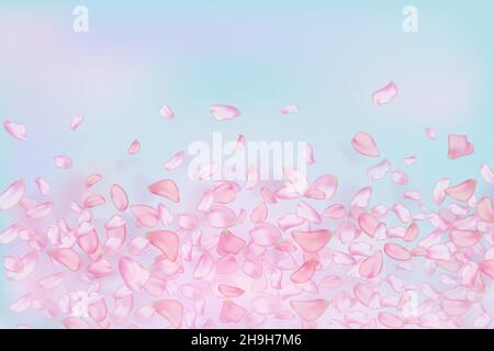 Natur horizontaler Hintergrund.Rosa fallende Sakura Blütenblätter und Blumen. Stock Vektor