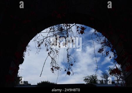 Ein Spaziergang durch die wunderschönen mittelalterlichen Stadtteile Chelsea und Kensington in London, aufgenommen an einem sonnigen Herbstnachmittag. Stockfoto