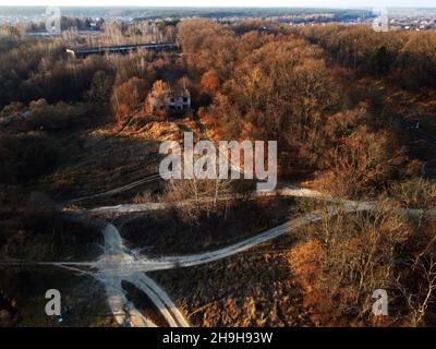 Spätherbstwald von oben Stockfoto