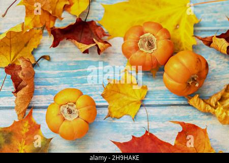 Stillleben im Herbst . Gefallene Ahornblätter und orangefarbene Kürbisse auf einem hölzernen blauen Hintergrund. Herbsternte. Stockfoto