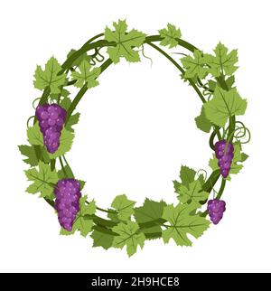 Runder Rahmen. Weinrebe mit Laub und Trauben. Weinbau und Landwirtschaft. Zweige mit Beeren auf einem dichten Busch. Junger Weinberg. Süßer Herbst Stock Vektor