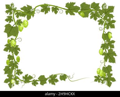 Rechteckiger Rahmen mit Hopfen. Ein Zweig mit dichten Blättern und Kegeln. Schlaffe Triebe mit Blättern. Wilde Natur. Flache Illustration mit Platz für Stock Vektor