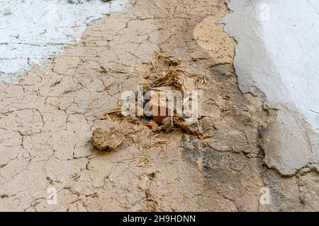 Вisintegrated Verputzen mit Schichten von Holzsägemehl сement. Bohrung in Sägespäne-Beschichtung. Stockfoto