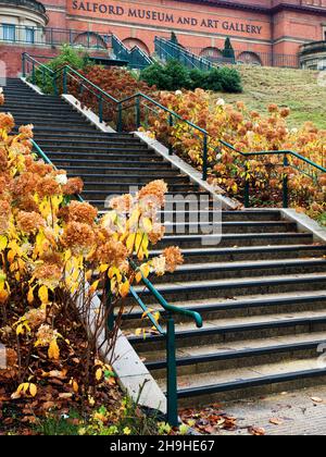 Salford Museum und Kunstgalerie aus dem Peel Park in der Herbststadt Salford, Greater Manchester, England Stockfoto