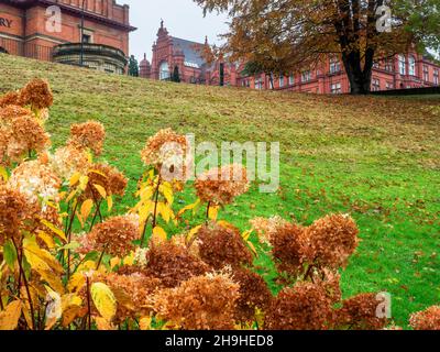 Das Peel Building aus dem Peel Park in der Stadt Salford, Greater Manchester, England Stockfoto