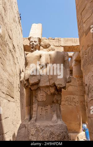 Statue der Gottheit Amun Ra, Karnak Tempel in Ägypten Stockfoto