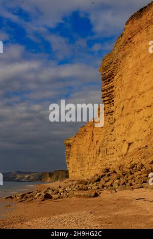 Einer der häufigen Kollaps des instabilen und gefährlichen Burton-Sandstein-Kliffs an der Jurassic Coast bei Burton Bradstock, Dorset, England, Großbritannien Stockfoto