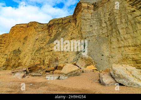 Einer der häufigen Kollaps des instabilen und gefährlichen Burton-Sandstein-Kliffs an der Jurassic Coast bei Burton Bradstock, Dorset, England, Großbritannien Stockfoto