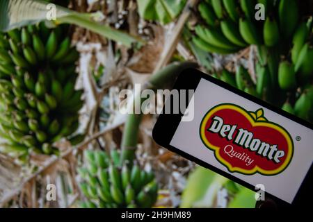 Rheinbach, Deutschland 1. Oktober 2021, das Logo der Marke 'Del Monte' auf dem Display eines Smartphones vor einer Bananenplantage Stockfoto