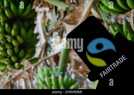 Rheinbach, Deutschland 1. Oktober 2021, das Markenlogo 'Fairtrade' auf dem Display eines Smartphones vor einer Bananenplantage Stockfoto