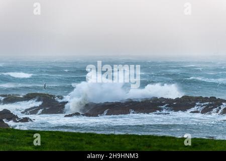 Wellen schlagen in Bantry Bay West Cork auf die Felsen, nachdem der Sturm Barra Großbritannien und Irland mit störenden Winden, starkem Regen und Schnee getroffen hatte. Bilddatum: Dienstag, 7. Dezember 2021. Stockfoto