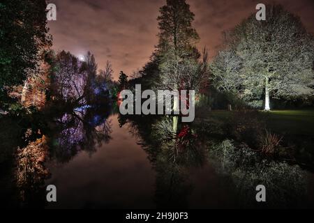 Szenen aus Enchanted Woodland im Syon Park im Westen Londons. Stockfoto