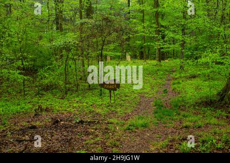 Grindstone Ford entlang des Natchez Trace Parkway, in der Nähe von Port Gibson, Mississippi, USA. Stockfoto