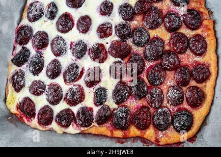 Frisch gebackene Pflaumenkuchen mit Quark auf Backpapier, Nahaufnahme. Stockfoto