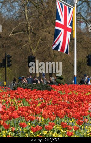 Ein Tulpenbett im St James' Park in der Nähe des Buckingham Palace an einem Tag, an dem die Temperaturen in London 25 Grad erreichten. Fototermin: Mittwoch, 18. April 2018. Bildnachweis sollte lauten: Richard Gray/EMPICS Stockfoto