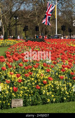 Ein Tulpenbett im St James' Park in der Nähe des Buckingham Palace an einem Tag, an dem die Temperaturen in London 25 Grad erreichten. Fototermin: Mittwoch, 18. April 2018. Bildnachweis sollte lauten: Richard Gray/EMPICS Stockfoto