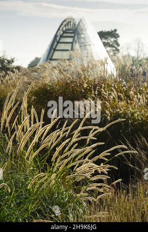 Kew Gardens in London am ersten Tag einer vierwöchigen Sperre in Großbritannien. Fototermin: Montag, 26. Oktober 2020. Bildnachweis sollte lauten: Richard Gray/EMPICS Stockfoto