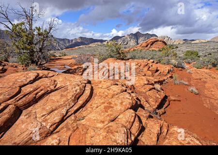 Geschichteter Navajo-Sandstein der Red Mountains im Snow Canyon State Park, Teil des Red Cliffs Desert Reserve, Washington, Utah, USA Stockfoto
