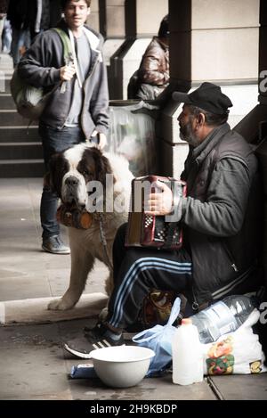 London, 2021. September. Mann, der auf der Straße sitzt und Akkordeon spielt, mit seinem Hund vom Heiligen Bernhard Stockfoto