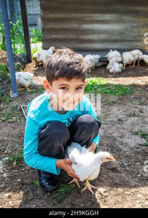 Bio Hühner auf einem Bauernhof eine Kinder. Natur. Stockfoto