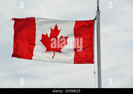 Die kanadische Flagge, die auf einem Fahnenmast in Victoria BC fliegt. Das rote Ahornblatt von Kanada. Stockfoto