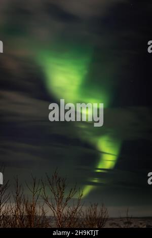 Grüne Nordlichter über der Stadt Hafnarfjordur, Island. Winternacht, keine Menschen. Stockfoto