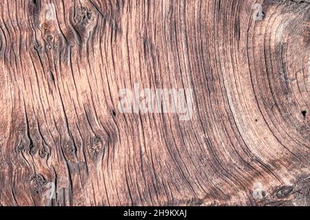 Ein Hellbraunes Holz als Hintergrund. Stockfoto