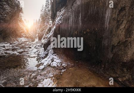 Fließender kleiner Bach, der aus der Eishöhle läuft und große Felsbrocken wäscht. Erste Sonnenstrahlen lassen junge Schneeinseln erhellen. Kalt frühen Winter Bergwald Stockfoto
