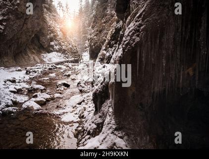 Fließender kleiner Bach, der aus der Eishöhle läuft und große Felsbrocken wäscht. Erste Sonnenstrahlen lassen junge Schneeinseln erhellen. Kalt frühen Winter Bergwald Stockfoto