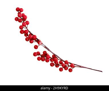 Roter Beerenzweig isoliert auf weißem Hintergrund. Design-Element Weihnachten. Stockfoto