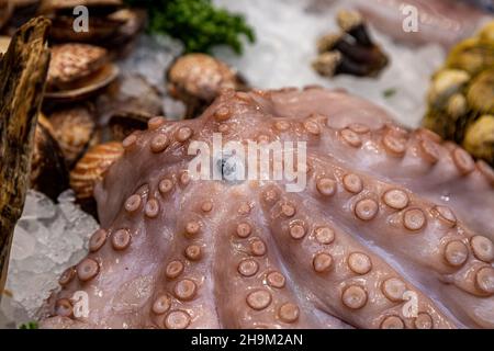 Ein Oktopus mit Tentakeln und Auge, zum Verkauf an einem Marktstand Stockfoto