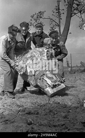 Szczecin, osiedle Warszewo, 1948-09. Junacy ze S³u¿von Polsce niweluj¹ teren pod budowê masztu szczeciñskiej radiostacji Polskiego Radia. msa PAP Szczecin, Warszewo, Sept. 1948. Mitglieder des Dienstes für Polen Nivelliergelände auf der Baustelle eines Mastes des polnischen Radiosenders Stettin. msa PAP Stockfoto