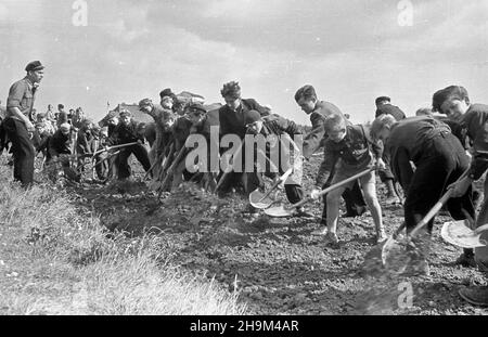 Szczecin, osiedle Warszewo, 1948-09. Junacy ze S³u¿von Polsce niweluj¹ teren pod budowê masztu szczeciñskiej radiostacji Polskiego Radia. msa PAP Szczecin, Warszewo, Sept. 1948. Mitglieder des Dienstes für Polen Nivelliergelände auf der Baustelle eines Mastes des polnischen Radiosenders Stettin. msa PAP Stockfoto