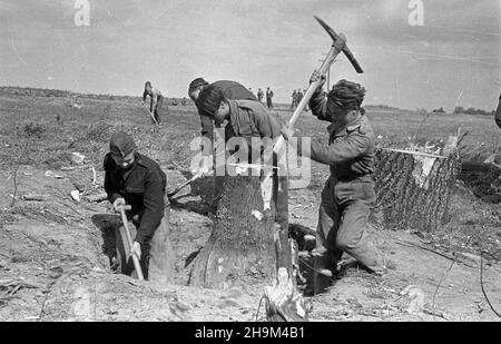 Szczecin, osiedle Warszewo, 1948-09. Junacy ze S³u¿von Polsce niweluj¹ teren pod budowê masztu szczeciñskiej radiostacji Polskiego Radia. msa PAP Szczecin, Warszewo, Sept. 1948. Mitglieder des Dienstes für Polen Nivelliergelände auf der Baustelle eines Mastes des polnischen Radiosenders Stettin. msa PAP Stockfoto