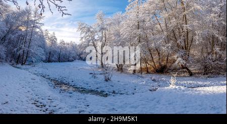 Wunderschöne Winterlandschaft mit schneebedeckten Bäumen und Sonnenlicht. Panoramablick Stockfoto
