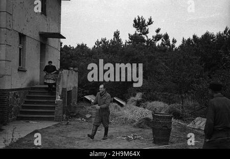 Polska, 1948-09. Okolice Szczecina. Przydomowy sk³ad jab³ek. msa PAP Dok³adny dzieñ wydarzenia nieustalony. Polen, 1948. September. Eine Ortschaft in der Nähe von Stettin. Heim Apfellager. msa PAP Stockfoto