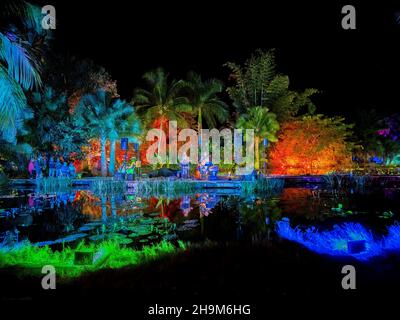 Johnsonville Night Lights in the Garden Weihnachten 2021 im Naples Botanical Garden in Naples, Florida, USA Stockfoto