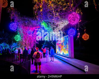 Johnsonville Night Lights in the Garden Weihnachten 2021 im Naples Botanical Garden in Naples, Florida, USA Stockfoto