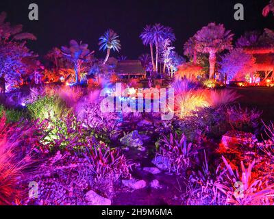 Johnsonville Night Lights in the Garden Weihnachten 2021 im Naples Botanical Garden in Naples, Florida, USA Stockfoto