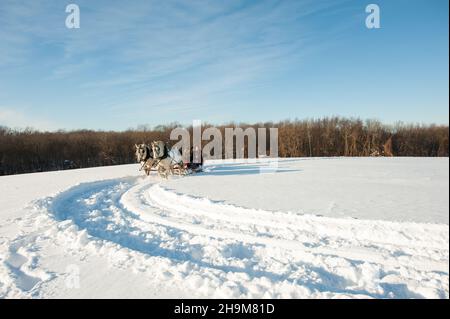 Winter Sleigh Ride, Allegra Farm, East Haddam, Connecticut, USA Stockfoto
