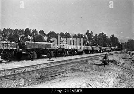 Stettin, 1948-10. Teren budowy stacji rozrz¹dowej, naprzeciwko budowy portu prze³adunków masowych, po prawej stronie od ul. Czajkowskiego. Têdy bêd¹ jeŸdziæ wagony z wêglem ze Œl¹ska. NZ. Transport piasku do utwardzania pod³o¿a i budowy nasypu. mw PAP Dok³adny dzieñ wydarzenia nieustalony. Szczecin, 1948. Oktober. Die Baustelle einer Marchallingwerft gegenüber der Baustelle des Ladungsumladehafens, auf der rechten Seite der Czajkowskiego Straße. Die Route der Güterzüge mit Kohle aus Schlesien. Im Bild: Der Transport von Sand zur Oberflächenhärtung und der Aufbau einer Stockfoto