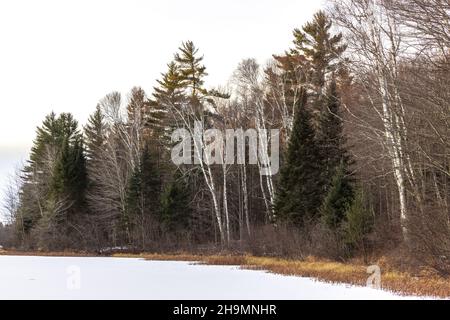 Lower Clam Lake an einem kalten Dezembermorgen. Stockfoto