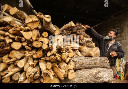 Gaza, Palästina. 07th Dez 2021. Holzstapel in der Werkstatt gesehen.Raed Abd El-Aal, 52 Jahre alt, arbeitet seit dreißig Jahren als Holzfäller in Gaza-Stadt mit seinen Söhnen; Tamer, 25 Jahre alt und Soliman, 12 Jahre alt und kann 150 Tonnen Bäume innerhalb von 24 Stunden allein schneiden, auch hat er ein Team, das ihm beim Transfer und Sammeln der Bäume von den Feldern im Gazastreifen hilft. (Foto von Ahmed Zakot/SOPA Images/Sipa USA) Quelle: SIPA USA/Alamy Live News Stockfoto