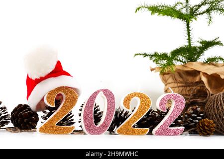 Weihnachtskonzept, grüne Kiefer im Topf, Zahlen 2022 und kleiner Weihnachtsmütze. Leerer Raum für Text. Stockfoto