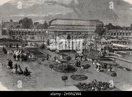 The Royal Horticultural Society's Gardens, South Kensington, zeigt das Konservatorium und Teile der Arcade, Juli 1861 Stockfoto